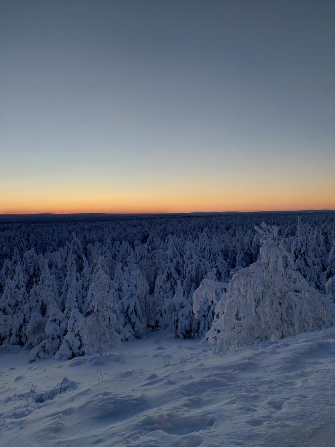 Villa Latvus Rovaniemi Eksteriør billede